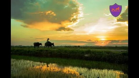 Video ngắn – Giải pháp truyền thông thông minh cho doanh nghiệp nhỏ_Ma trận điểm phát sóng